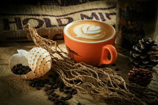 淺培、中培、深培咖啡豆區別