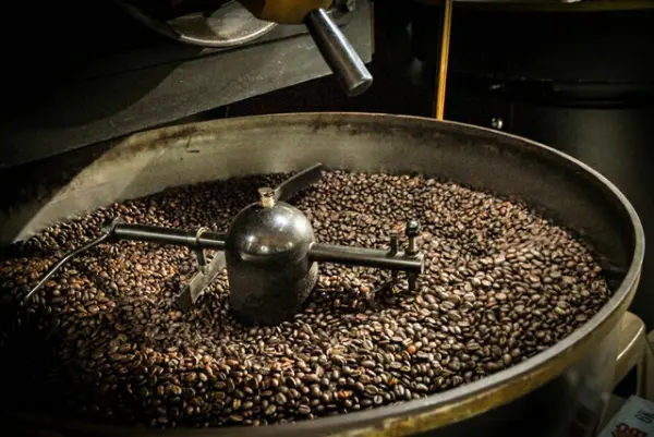 處理法香氣、味道體驗